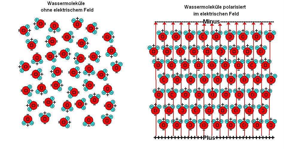 Polarisation von Wassermolekülen
